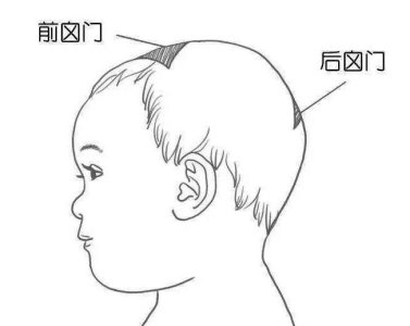 囟門發育不良的表現